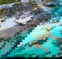 Rottnest Island Round-Trip Ferry from Perth or Fremantle - Sydney 4u