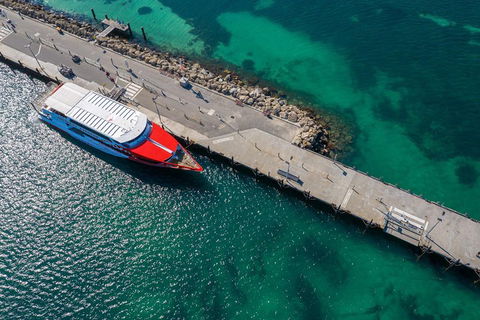 Rottnest Island Round-Trip Ferry From Perth Or Fremantle - Accommodation Sydney 1