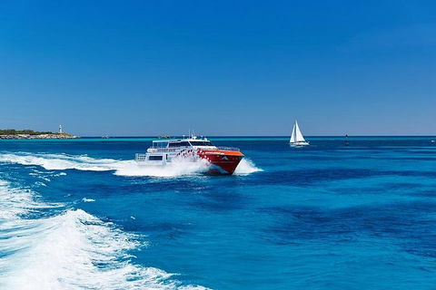 Rottnest Island Round-Trip Ferry From Perth Or Fremantle - Accommodation Sydney 4