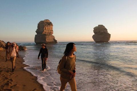 Full-Day Great Ocean Road And 12 Apostles Sunset Tour From Melbourne - Accommodation Sydney 4
