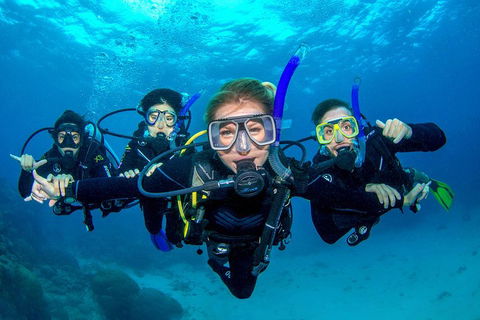 Great Barrier Reef Diving And Snorkeling Cruise From Cairns - Accommodation Sydney 0