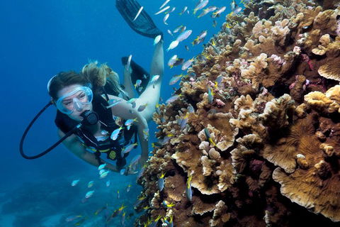 Great Barrier Reef Diving And Snorkeling Cruise From Cairns - Accommodation Sydney 1
