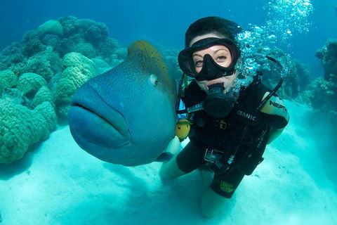 Great Barrier Reef Diving And Snorkeling Cruise From Cairns - Accommodation Sydney 2