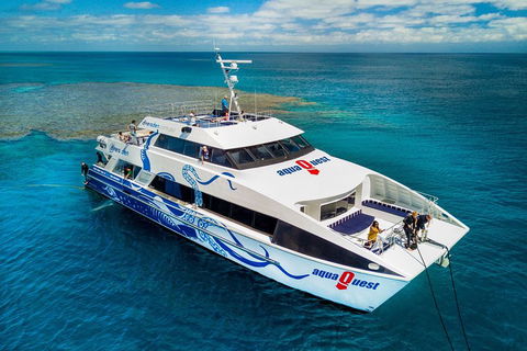 Great Barrier Reef Diving And Snorkeling Cruise From Cairns - Accommodation Sydney 5