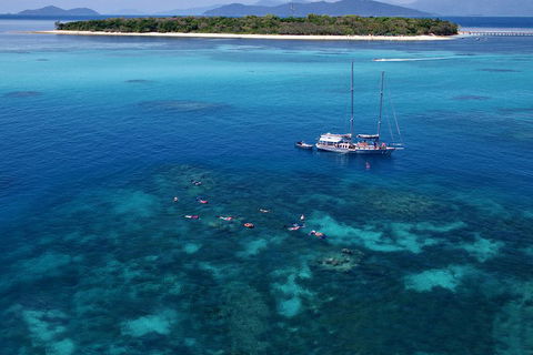 Ocean Free Green Island & Great Barrier Reef Snorkel Cruise, Cairns 25 Guests - Sydney 4u 2
