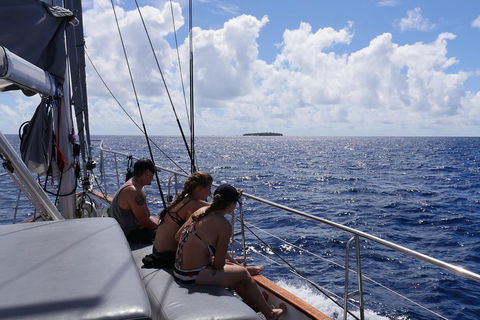 Ocean Free Green Island & Great Barrier Reef Snorkel Cruise, Cairns 25 Guests - Sydney 4u 4
