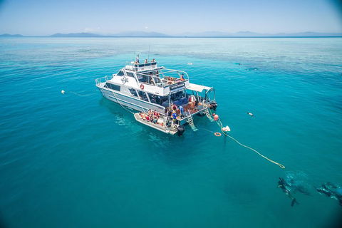 Ocean Freedom Great Barrier Reef Personal Luxury Snorkel & Dive Cruise, Cairns - Sydney 4u 0