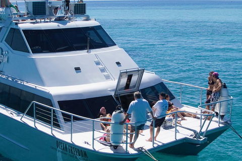 Ocean Freedom Great Barrier Reef Personal Luxury Snorkel & Dive Cruise, Cairns - Sydney 4u 1