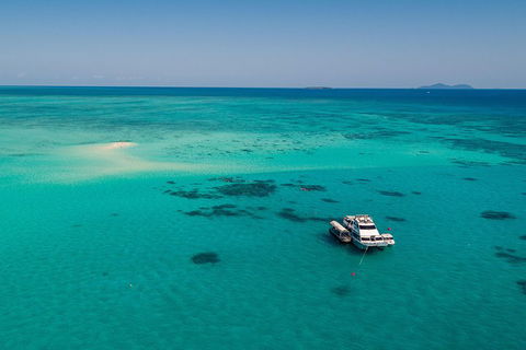 Ocean Freedom Great Barrier Reef Personal Luxury Snorkel & Dive Cruise, Cairns - Sydney 4u 2
