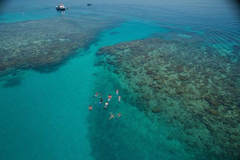 Ocean Freedom Great Barrier Reef Personal Luxury Snorkel & Dive Cruise, Cairns - Sydney 4u 3