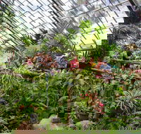 Australian Butterfly Sanctuary - Accommodation Sydney