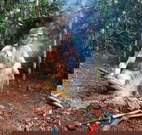 Kuranda Highlights including Rainforestation Aboriginal Culture and Wildlife - Sydney 4u