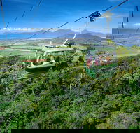 Best of Kuranda Including Skyrail Kuranda Scenic Railway and Rainforestation - Accommodation Sydney
