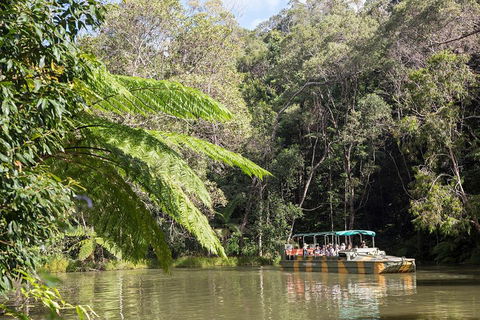 Best Of Kuranda Including Skyrail, Kuranda Scenic Railway And Rainforestation - Accommodation Sydney 5