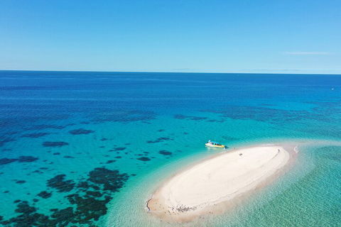 Ocean Safari Great Barrier Reef Experience In Cape Tribulation - Accommodation Sydney 0