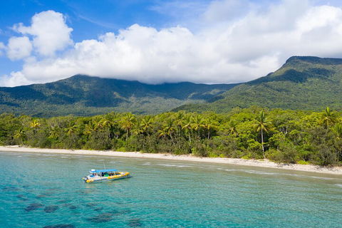 Ocean Safari Great Barrier Reef Experience In Cape Tribulation - Accommodation Sydney 2