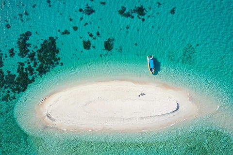 Ocean Safari Great Barrier Reef Experience In Cape Tribulation - Accommodation Sydney 3