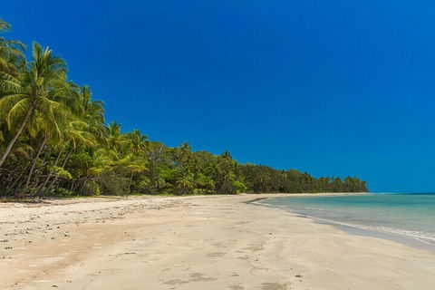 Ocean Safari Great Barrier Reef Experience In Cape Tribulation - Accommodation Sydney 4