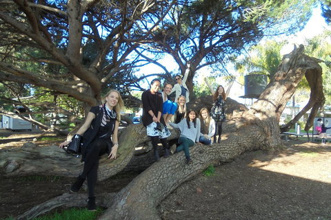 1/2 Day Swan Valley Wine Cheese & Chocolate Tour Inc Afternoon Cruise To Perth - Accommodation Sydney 0