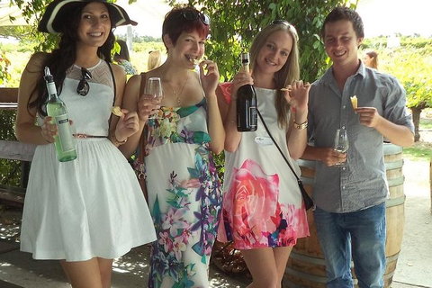 1/2 Day Swan Valley Wine Cheese & Chocolate Tour Inc Afternoon Cruise To Perth - Accommodation Sydney 4