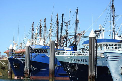 One Day Port Lincoln Tour - Tasting Eyre - Sydney 4u 0