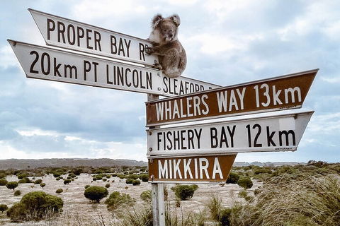 One Day Port Lincoln Tour - Tasting Eyre - Sydney 4u 2