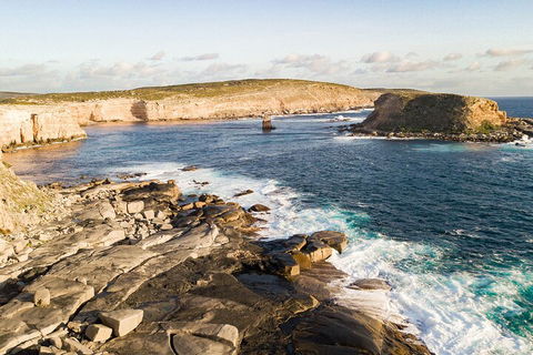 One Day Port Lincoln Tour - Tasting Eyre - Sydney 4u 3