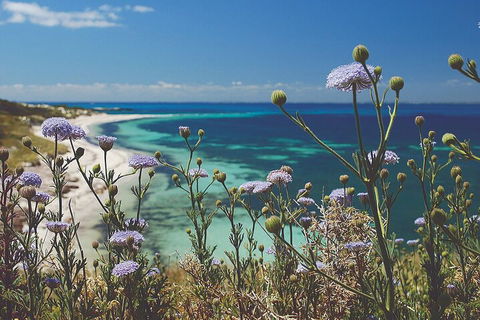 Rottnest Island Full-Day Trip With Guided Island Tour From Perth - Accommodation Sydney 2