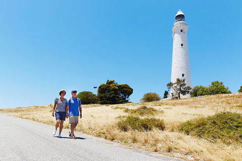 Rottnest Island Full-Day Trip With Guided Island Tour From Perth - Accommodation Sydney 4