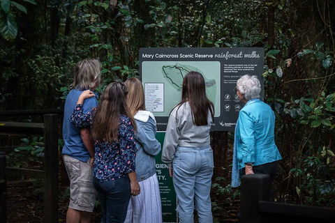 Sunshine Coast Hinterland And Noosa Day Trip From Brisbane Including Eumundi Markets And Ginger Factory - Accommodation Sydney 0