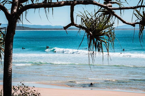 Sunshine Coast Hinterland And Noosa Day Trip From Brisbane Including Eumundi Markets And Ginger Factory - Accommodation Sydney 5