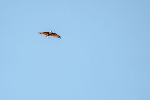 North Stradbroke Island Day Trip From Brisbane - Accommodation Sydney 4