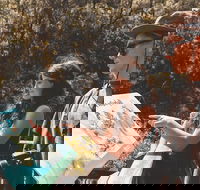 Springbrook andTamborine Rainforest Tour Incl Natural Bridge and Glow Worm Cave - Accommodation Sydney