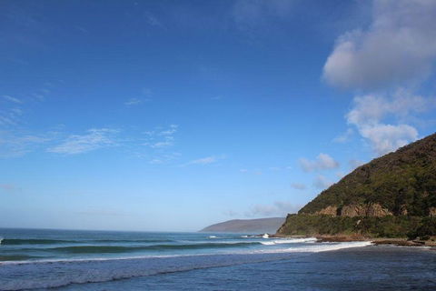 Private Great Ocean Road Day Tour With Early Departure & Early Return (11 Hours) - Sydney 4u 3