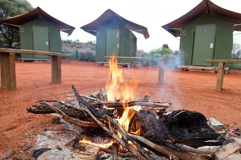 4 Day/3 Night Perentie Dreaming Safari - Sydney 4u 1
