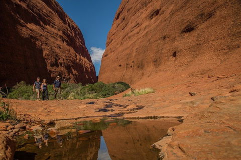 4 Day/3 Night Perentie Dreaming Safari - Sydney 4u 3