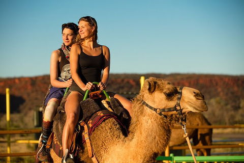 4 Day/3 Night Perentie Dreaming Safari - Sydney 4u 4