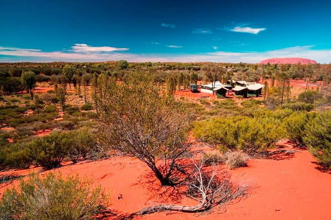 Overnight Uluru (Ayers Rock) Small-Group Camping Tour - Sydney 4u 2