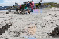 Book Viator Accommodation Vacations Sydney Resort Sydney Resort