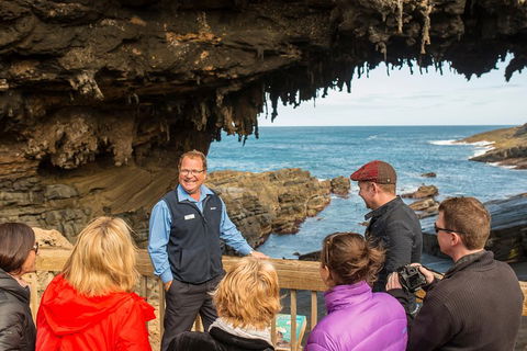 Kangaroo Island In A Day Tour From Adelaide - Sydney 4u 3