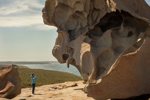 Kangaroo Island In A Day Tour From Adelaide - Sydney 4u 5