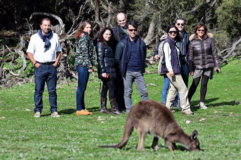 2-Day Kangaroo Island 4WD Small-Group Tour From Adelaide - Accommodation Sydney 1