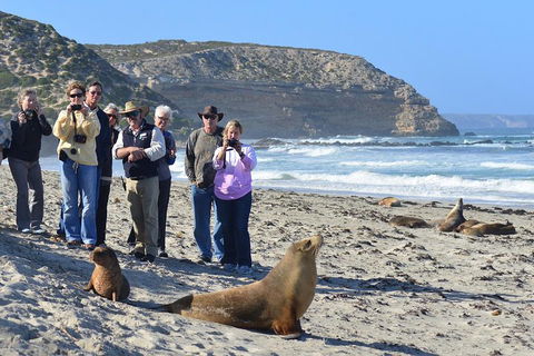 2-Day Kangaroo Island 4WD Small-Group Tour From Adelaide - Accommodation Sydney 3