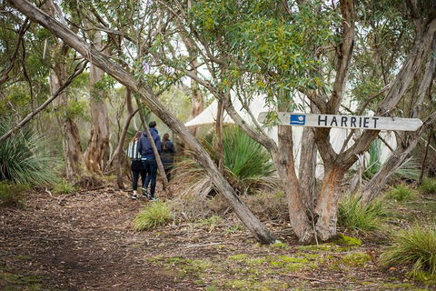 2-Day Kangaroo Island 4WD Small-Group Tour From Adelaide - Accommodation Sydney 5