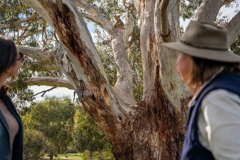 NEW TOUR - Kangaroo Island Road To Recovery Tour (1 Day/1 Night) - Sydney 4u 0
