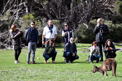 Small-Group Kangaroo Island 4WD Tour From Adelaide - Sydney 4u 2