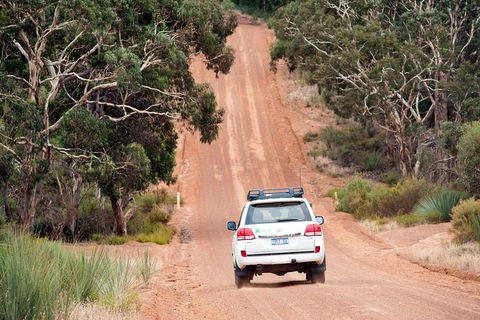 Small-Group Kangaroo Island 4WD Tour From Adelaide - Sydney 4u 3