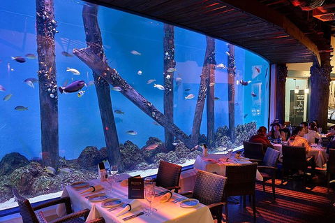 Cairns Aquarium And Small Group City Sightseeing Tour - Accommodation Sydney 4