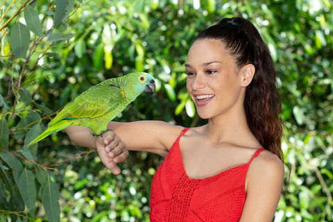 Kuranda Wildlife Experience Three Attraction Pass - Sydney 4u 1