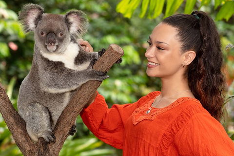 Kuranda Wildlife Experience Three Attraction Pass - Sydney 4u 4
